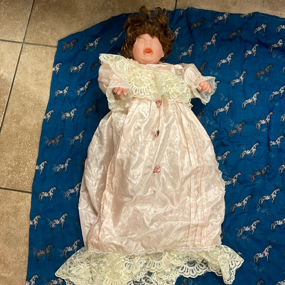 Duck house crying doll